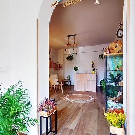 Pasitea ゲストハウス 3*