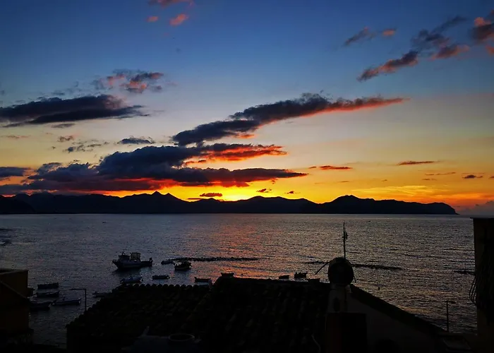 Pasitea בגרייה